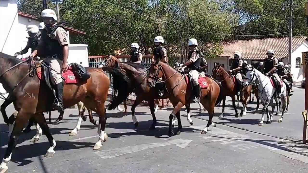 Imagem: Cavalaria PMMG em serviço